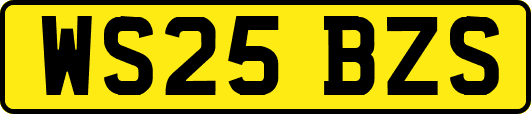 WS25BZS