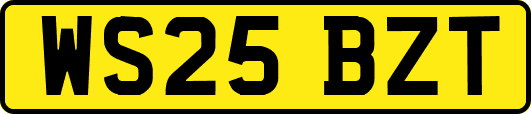 WS25BZT