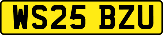 WS25BZU