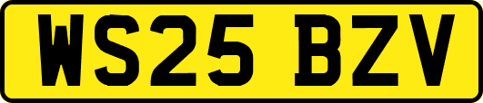 WS25BZV