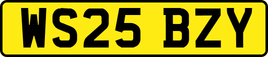 WS25BZY