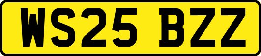 WS25BZZ