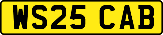 WS25CAB