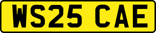 WS25CAE