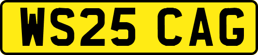 WS25CAG