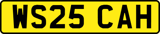 WS25CAH
