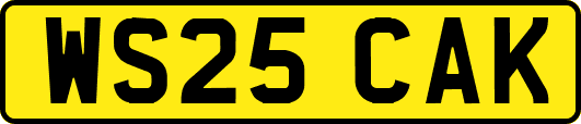 WS25CAK