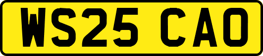 WS25CAO