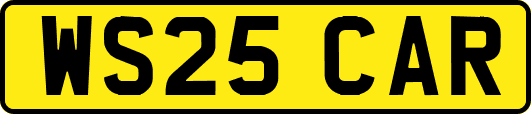 WS25CAR
