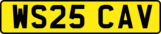WS25CAV