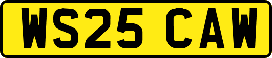 WS25CAW