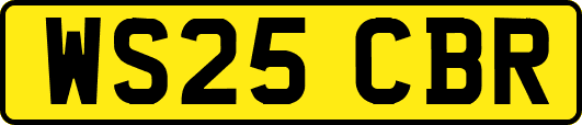 WS25CBR
