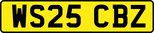 WS25CBZ