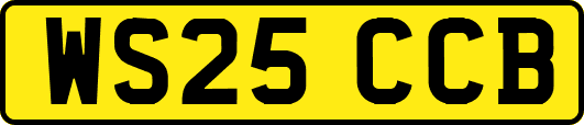 WS25CCB