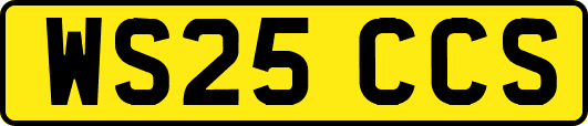 WS25CCS