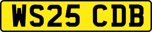 WS25CDB