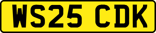 WS25CDK