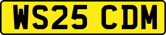 WS25CDM