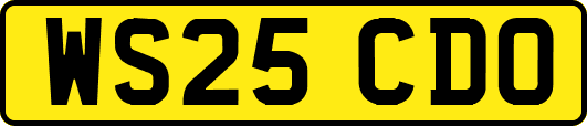 WS25CDO