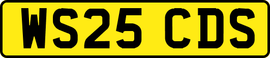 WS25CDS