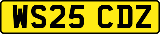 WS25CDZ