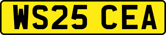 WS25CEA