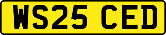WS25CED
