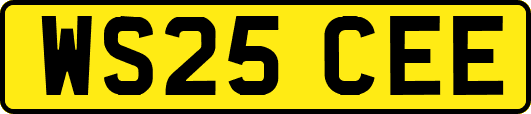 WS25CEE