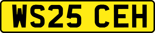 WS25CEH