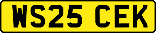 WS25CEK