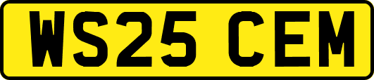 WS25CEM