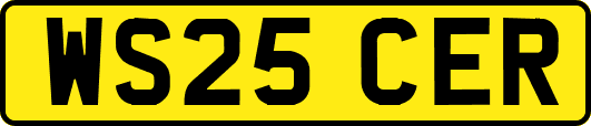 WS25CER