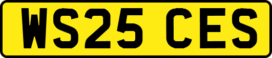 WS25CES