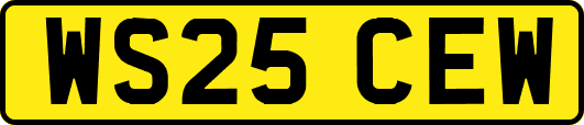 WS25CEW