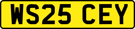 WS25CEY