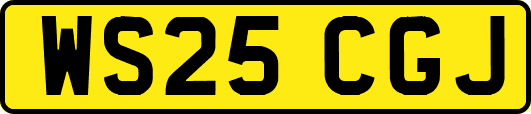 WS25CGJ