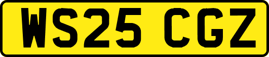 WS25CGZ