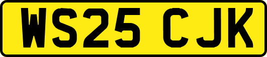 WS25CJK