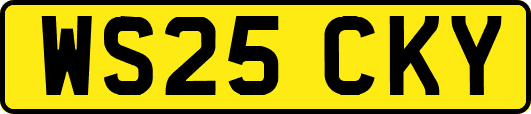 WS25CKY