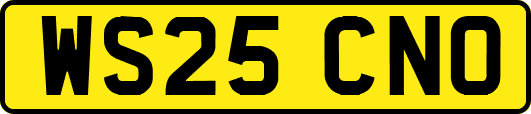 WS25CNO