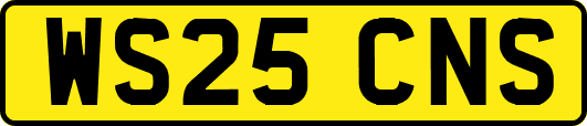 WS25CNS
