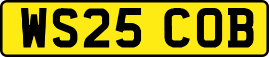 WS25COB