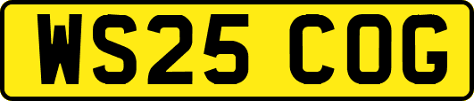 WS25COG