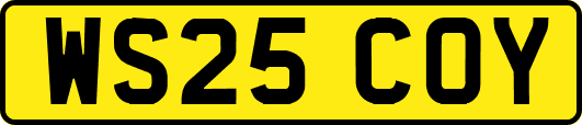 WS25COY