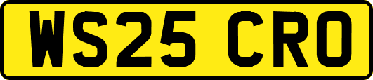 WS25CRO