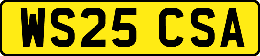 WS25CSA