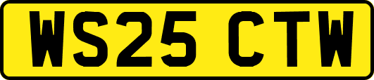 WS25CTW