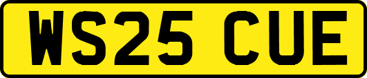 WS25CUE