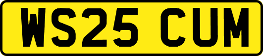 WS25CUM