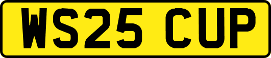 WS25CUP